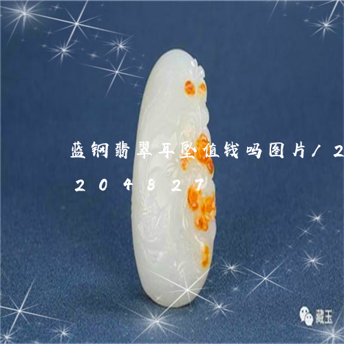 蓝钢翡翠耳坠值钱吗图片/2023110204827