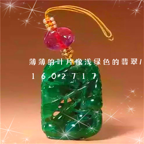 薄薄的叶片像浅绿色的翡翠/2023031602717