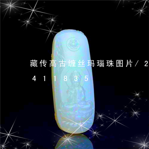 藏传高古缠丝玛瑙珠图片/2023072411835