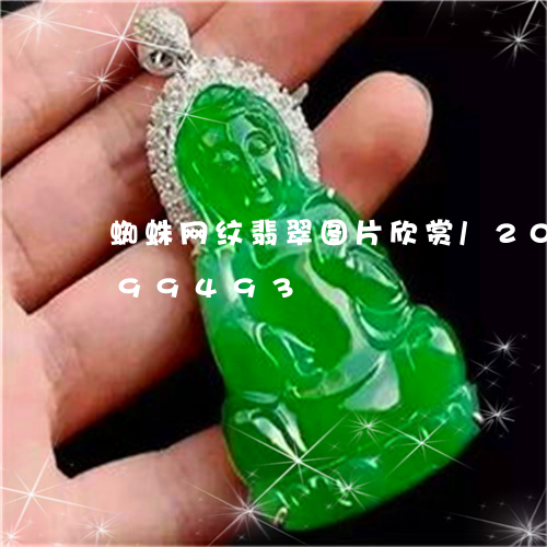 蜘蛛网纹翡翠图片欣赏/2023092799493