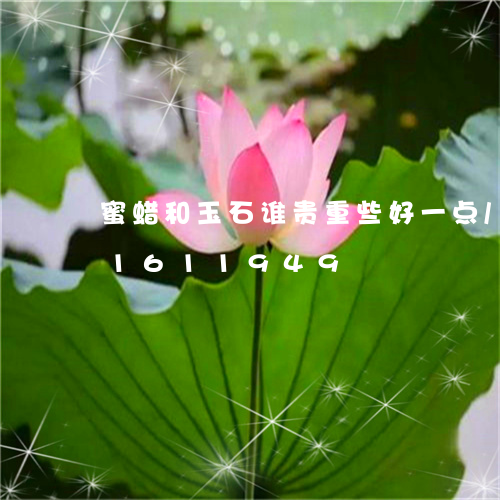 蜜蜡和玉石谁贵重些好一点/2023031611949