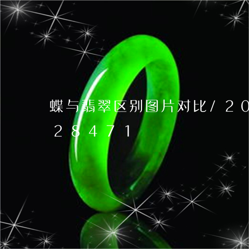 蝶与翡翠区别图片对比/2023112428471