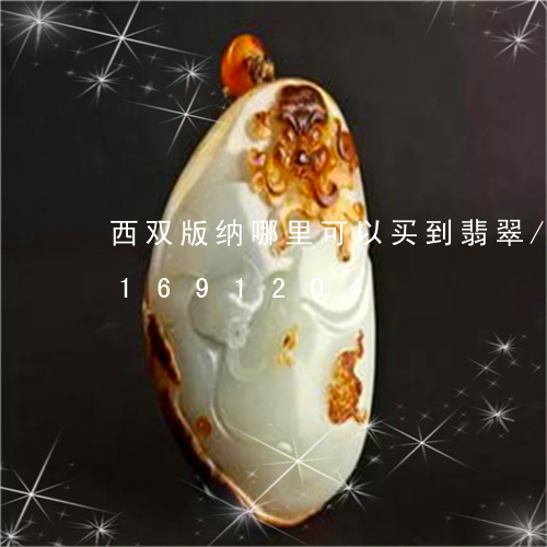 西双版纳哪里可以买到翡翠/2023031691204