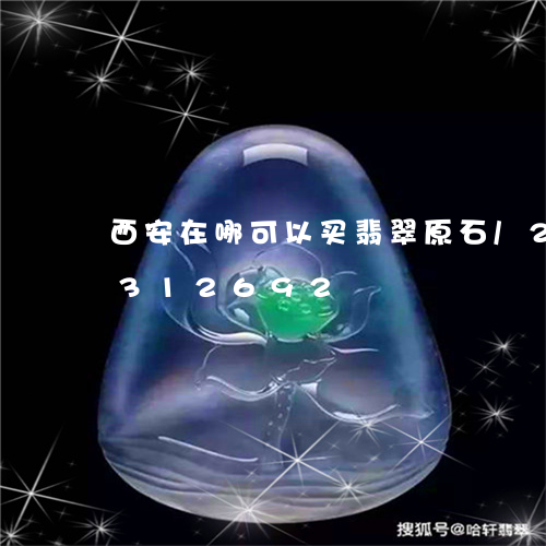 西安在哪可以买翡翠原石/2023072312692