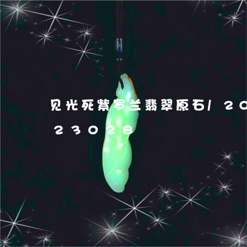 见光死紫罗兰翡翠原石/2023092723028