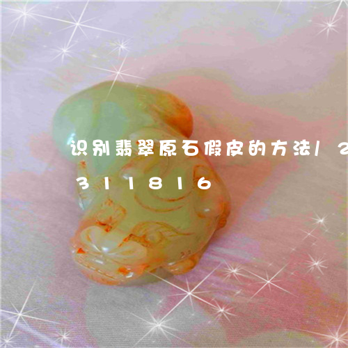 识别翡翠原石假皮的方法/2023072311816