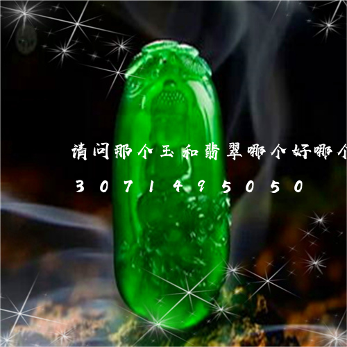 请问那个玉和翡翠哪个好哪个值钱/2023071495050