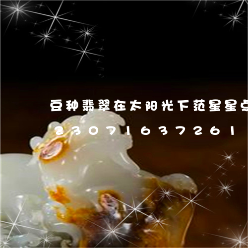 豆种翡翠在太阳光下范星星点点荧光/2023071637261