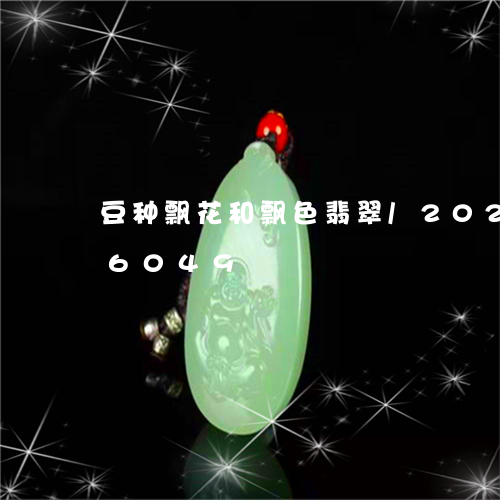 豆种飘花和飘色翡翠/2023120506049