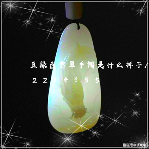 豆绿色翡翠手镯是什么样子/2023072284935