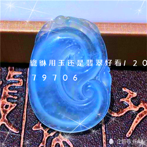 貔貅用玉还是翡翠好看/2023092979706