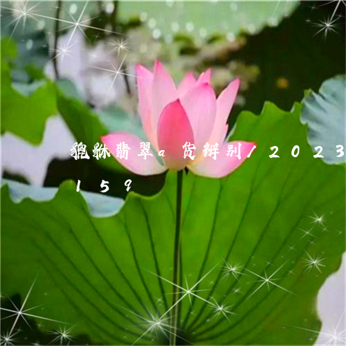 貔貅翡翠a货辨别/2023102407159