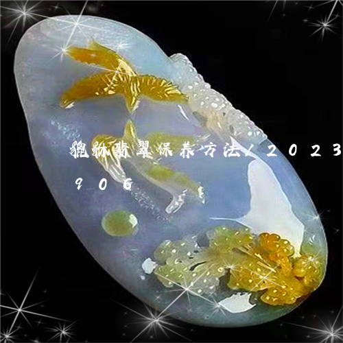 貔貅翡翠保养方法/2023102415906