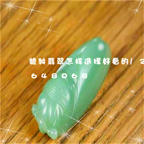 貔貅翡翠怎样选择好看的/2023111648068