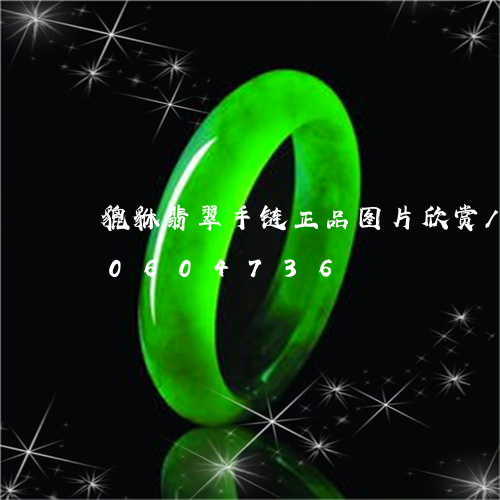 貔貅翡翠手链正品图片欣赏/2023110604736