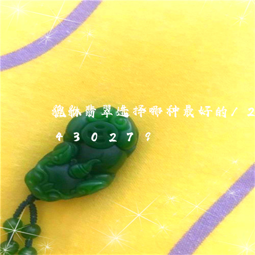 貔貅翡翠选择哪种最好的/2023072430279