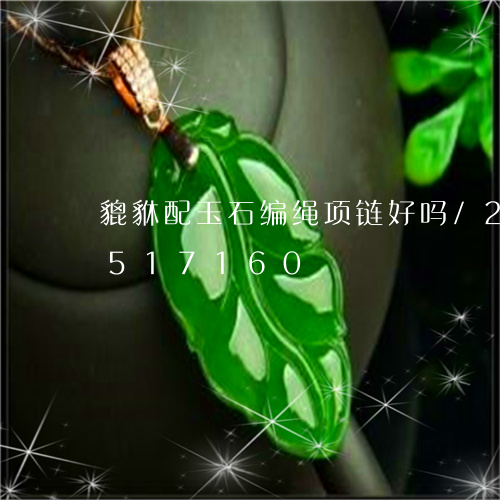 貔貅配玉石编绳项链好吗/2023112517160