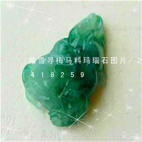 踏雪寻梅马料玛瑙石图片/2023072418259