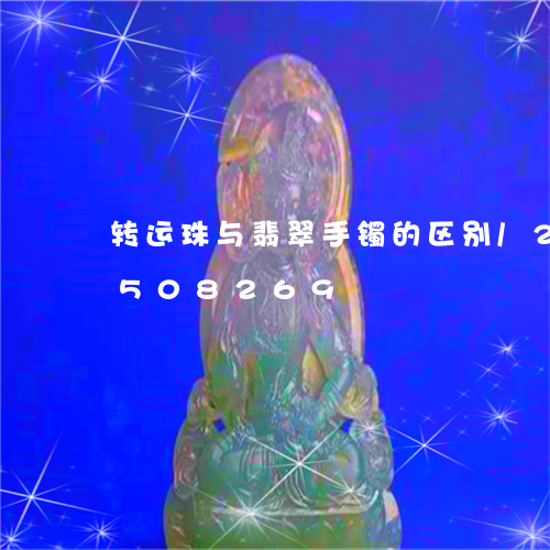 转运珠与翡翠手镯的区别/2023091508269