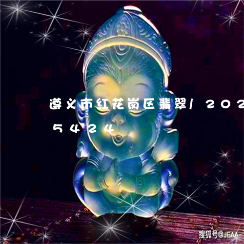 遵义市红花岗区翡翠/2023042865424