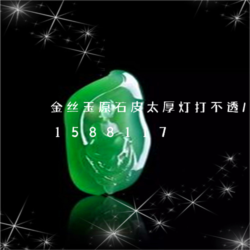 金丝玉原石皮太厚灯打不透/2023031588117