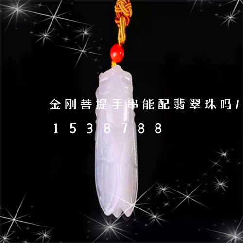 金刚菩提手串能配翡翠珠吗/2023031538788