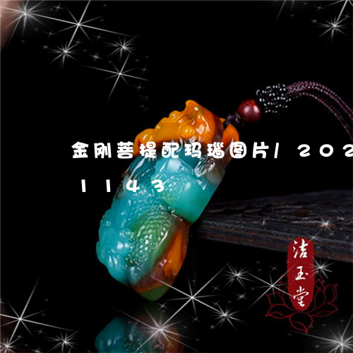 金刚菩提配玛瑙图片/2023042941143