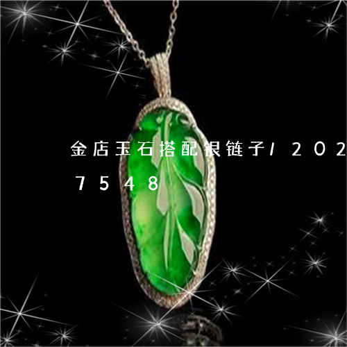 金店玉石搭配银链子/2023042997548