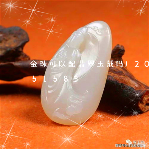 金珠可以配翡翠玉戴吗/2023112351583