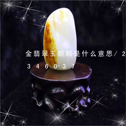 金翡翠玉麒麟是什么意思/2023072346037