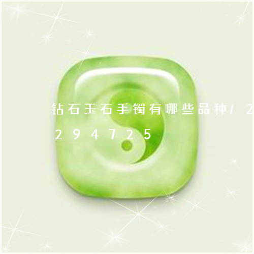 钻石玉石手镯有哪些品种/2023072294725