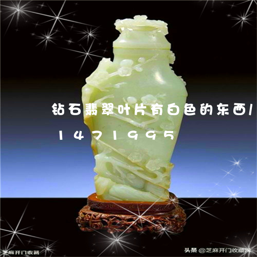 钻石翡翠叶片有白色的东西/2023031471995