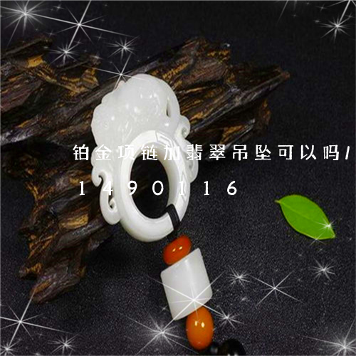 铂金项链加翡翠吊坠可以吗/2023031490116