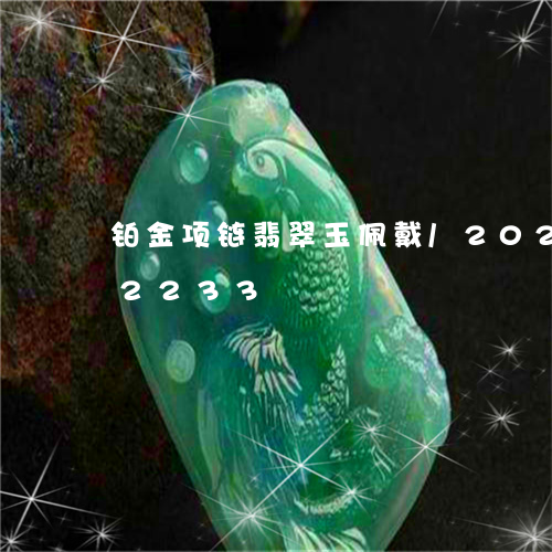 铂金项链翡翠玉佩戴/2023042832233