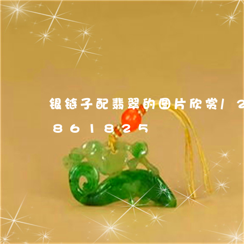 银链子配翡翠的图片欣赏/2023111861825