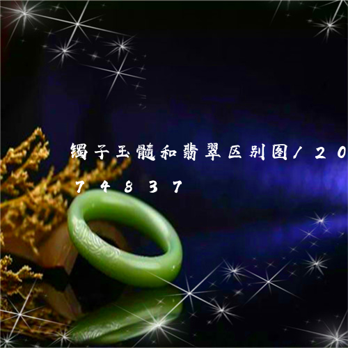 镯子玉髓和翡翠区别图/2023112474837