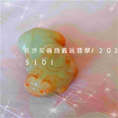 长沙芙蓉路鑫远翡翠/2023042815101