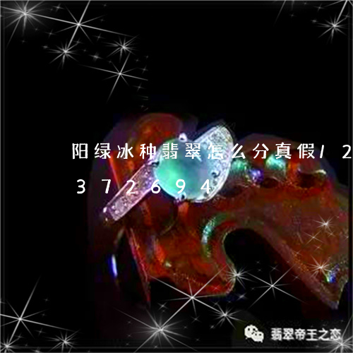 阳绿冰种翡翠怎么分真假/2023072372694