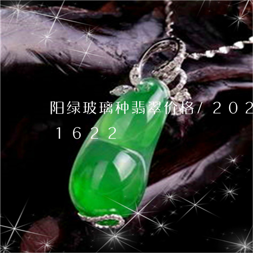 阳绿玻璃种翡翠价格/2023042891622