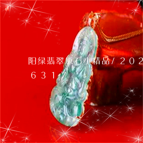 阳绿翡翠原石小精品/2023042896317