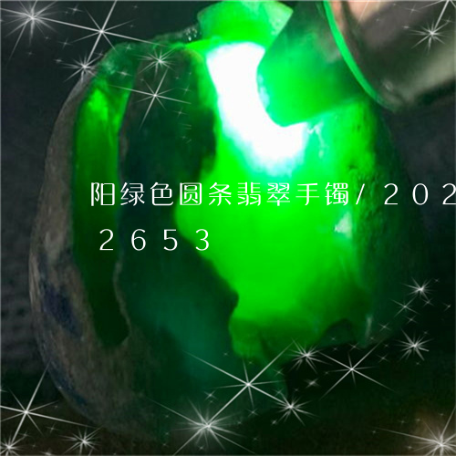阳绿色圆条翡翠手镯/2023042832653