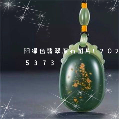 阳绿色翡翠原石图片/2023042825373