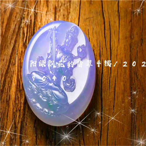 阳绿飘花的翡翠手镯/2023042779040