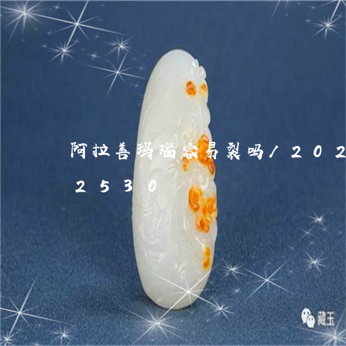 阿拉善玛瑙容易裂吗/2023042842530