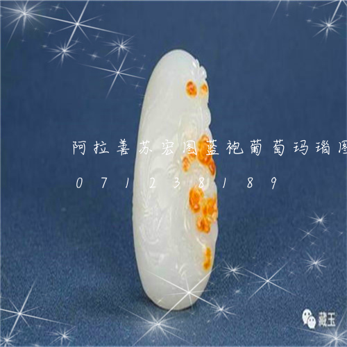 阿拉善苏宏图蓝袍葡萄玛瑙图片/2023071238189