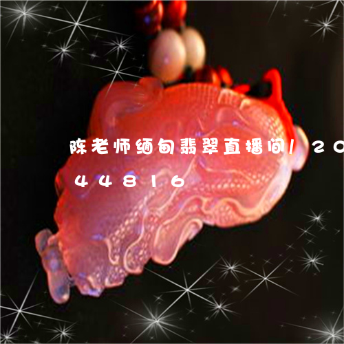 陈老师缅甸翡翠直播间/2023120844816