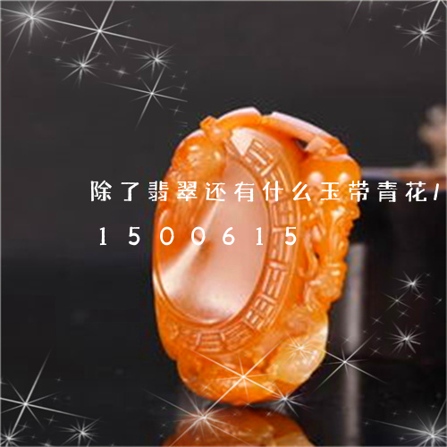 除了翡翠还有什么玉带青花/2023031500615