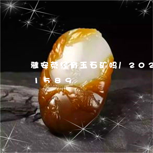 雅安荥经有玉石矿吗/2023042851589