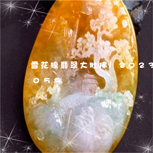 雪花棉翡翠大肚佛/2023102436059