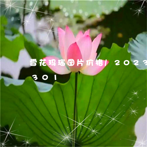 雪花玛瑙图片价格/2023112539301